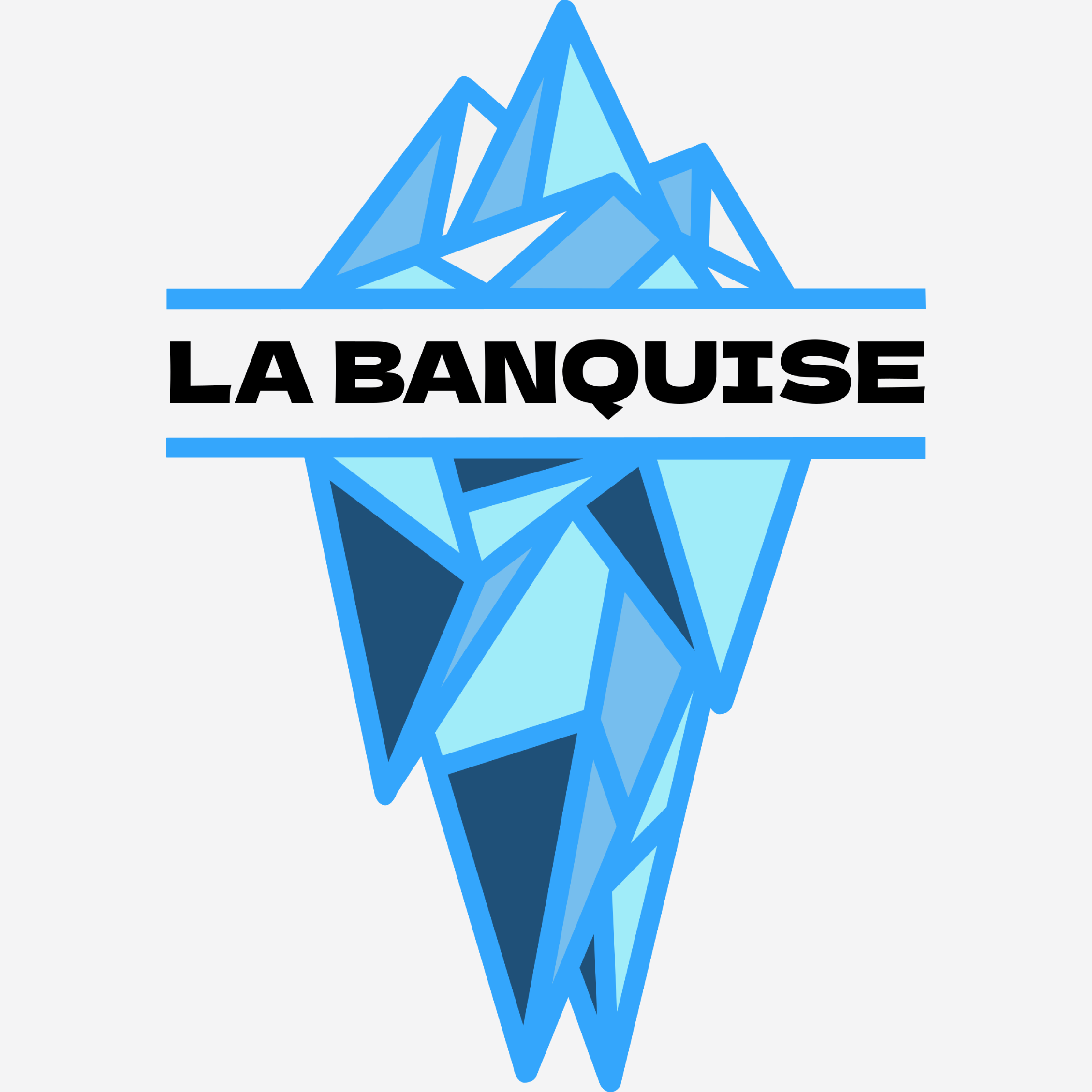 Banquise logo