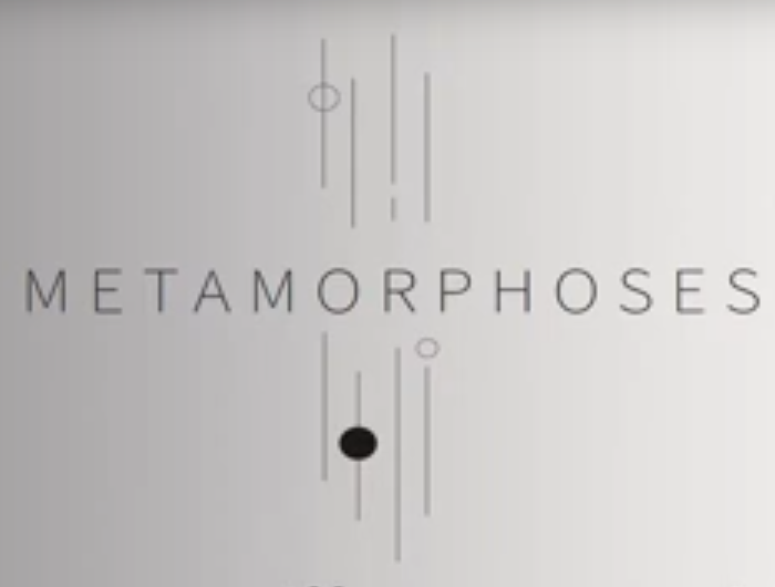Metamorphose logo